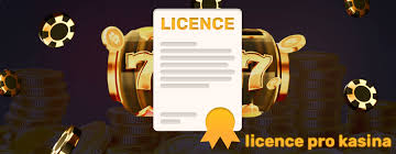 Mezinárodní casino Klíčové trendy a možnosti pro hráče Mezinárodní casino Klíčové trendy a možnosti pro hráče