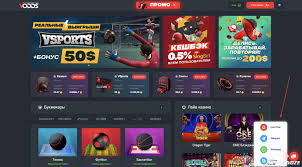 Ставки на крикет без маржи Как получить максимум от игры