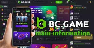 BC.Game NG Crypto Casino The Future of Online Gambling in Nigeria