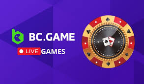 Understanding BC.Game Data Protection Policy