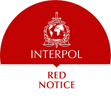 Understanding the Role of Red Notice Removal Lawyers 1343989504