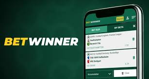 Understanding BetWinner Exchange A Comprehensive Guide
